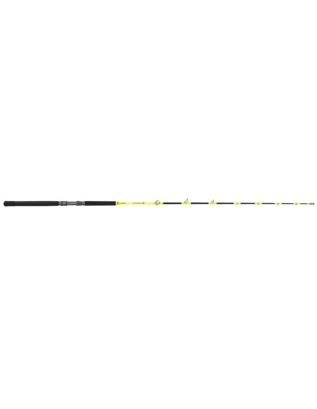 Tubertini Stunner 2.00m 30/50Lb